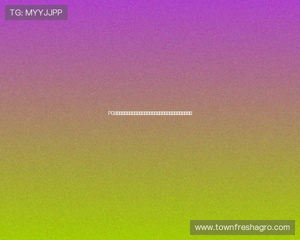 PG电子棋牌外挂辅助器的市场现状及其对玩家心理和行为的潜在影响分析