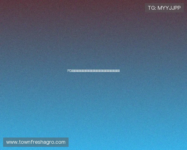 PG电子招财猫游戏带你体验最刺激的在线娱乐新玩法，轻松赚取丰厚奖励