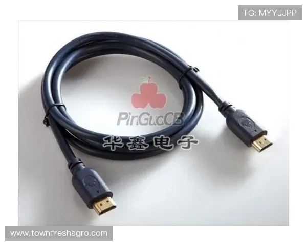 获取pg电子官方旗舰店的详细地址和客户服务热线让您的购物体验更加顺畅便捷