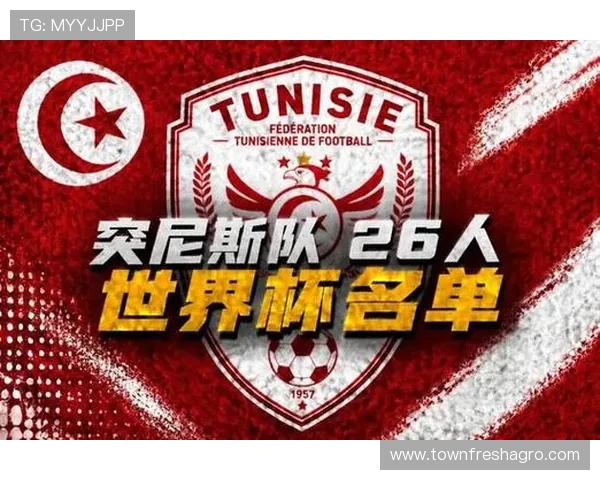 2026年世界杯突尼斯队与荷兰队的阵容深度与核心球员实力分析