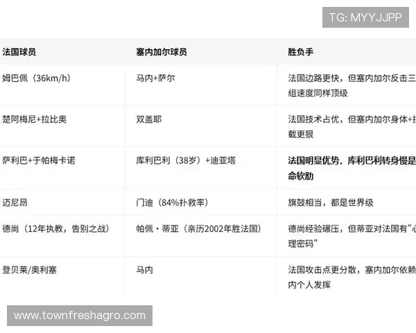 世界杯法国塞内加尔比赛结束后比分情况及赛后专家点评比赛战术与表现