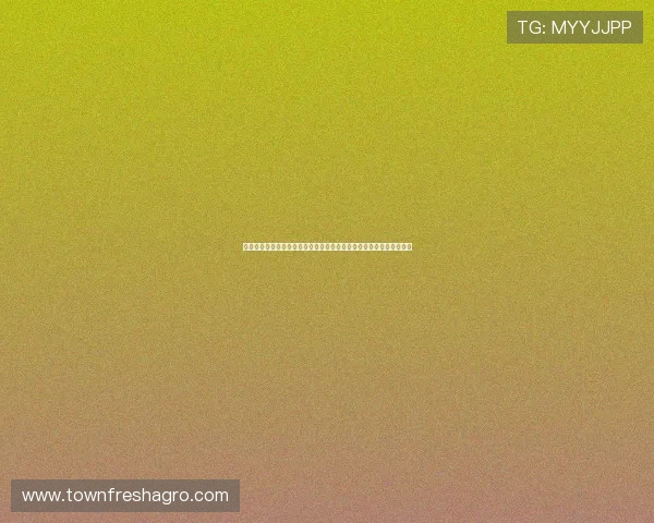 新西兰对比利时出线几率详解：影响两队晋级世界杯的关键因素与预测