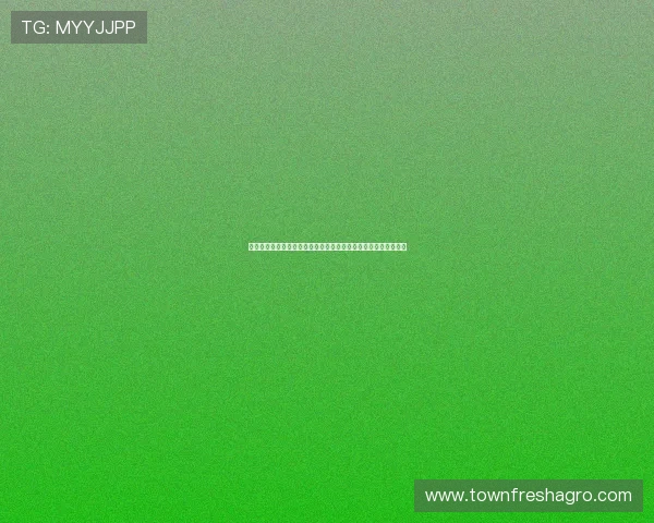 瑞典突尼斯世界杯比赛越位次数分析：裁判判罚对比赛结果的影响